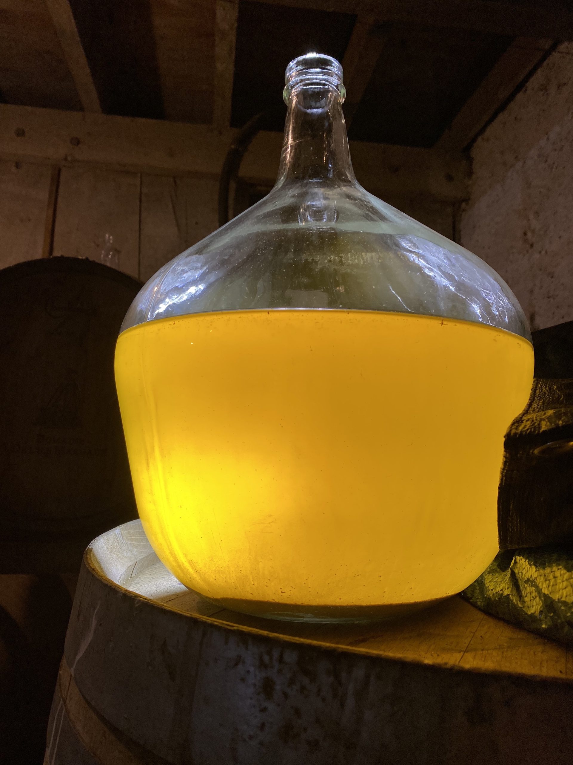DES VINS VIVANTS